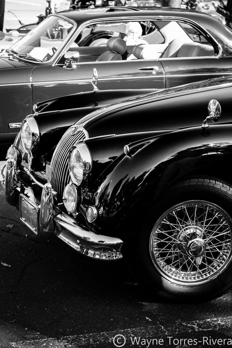 Illustration for article titled Get me some Spotted Dick!: Pictures from the All British Motor Show